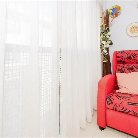 Alegria Id45 Torrevieja