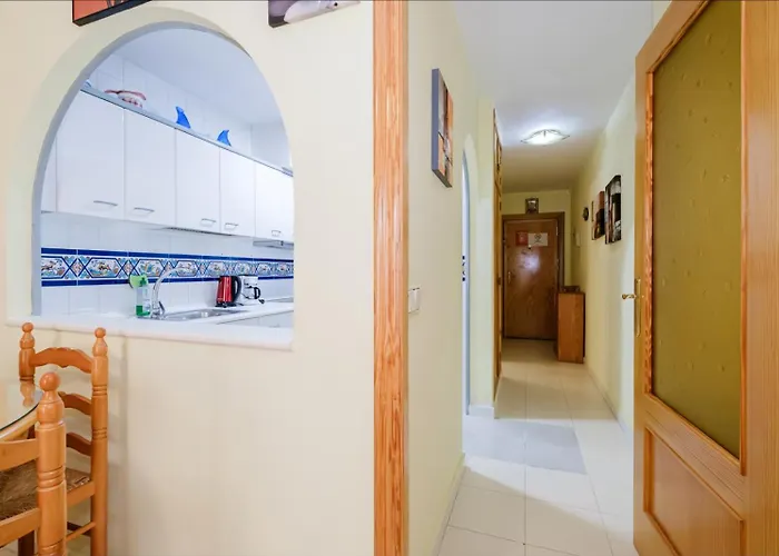 Alegria Id45 * Torrevieja