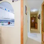 Alegria Id45 * Торевьиа